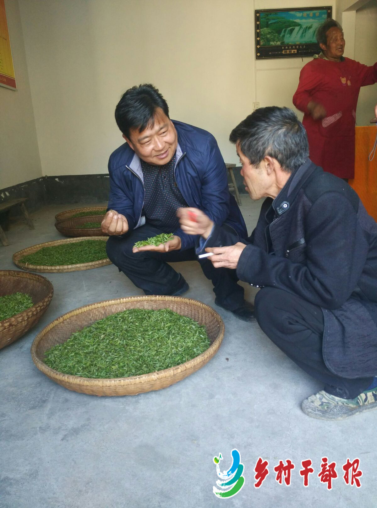 点击查看大图