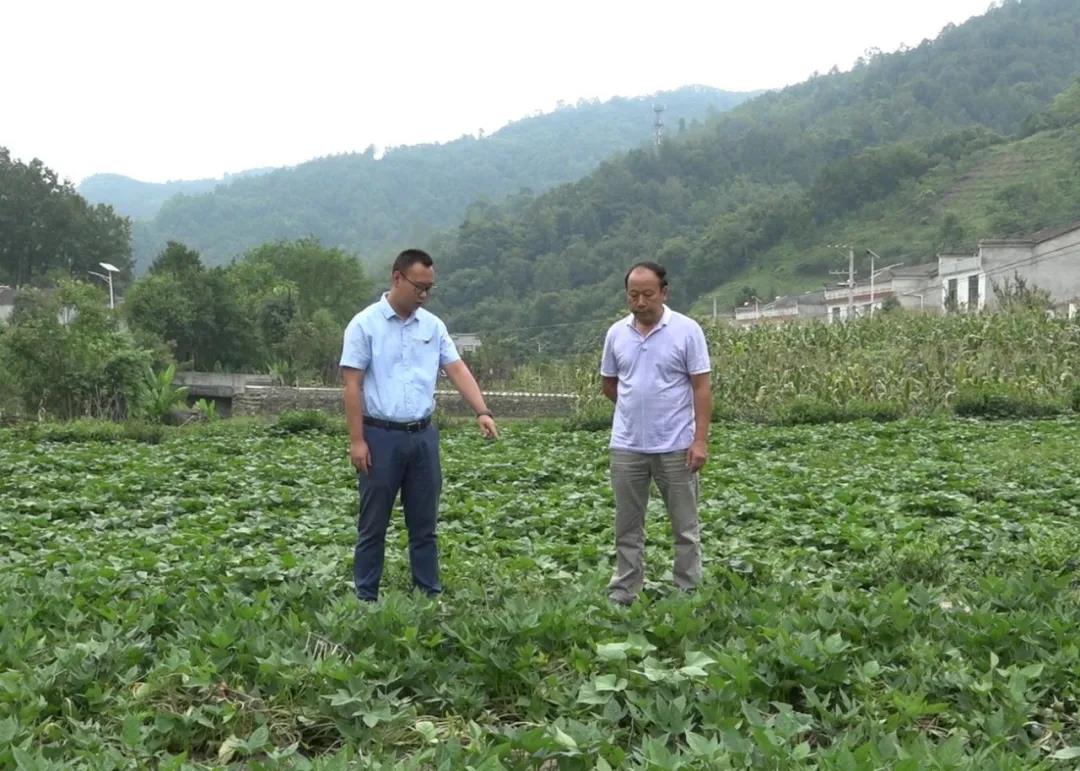 点击查看大图