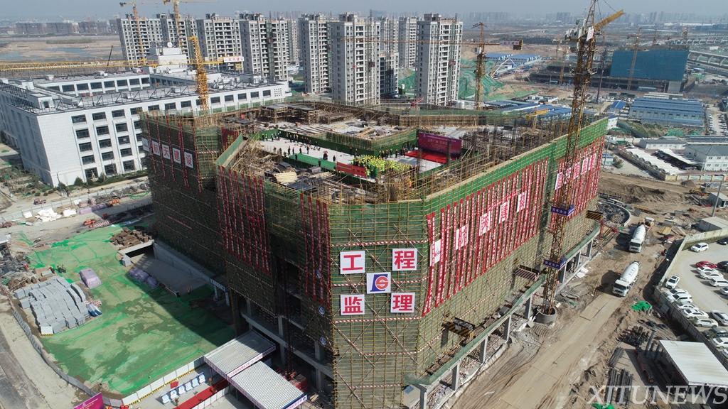 点击查看大图
